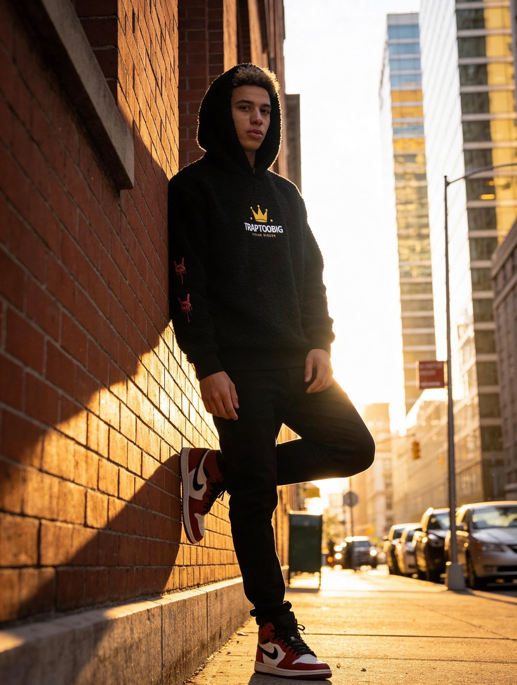King Lion Hoodie — Limited Drop